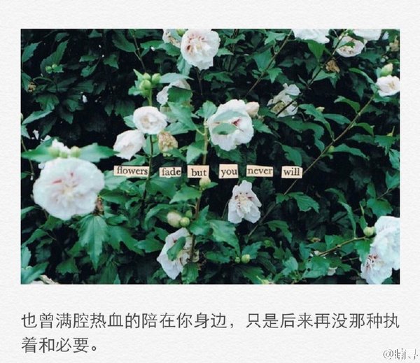 唯美图片，文字图片,情侣图片qqqqp