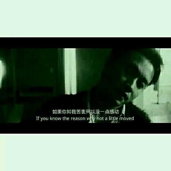 一路走来我用我的良心喂了不少狗