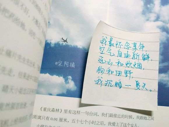 争不过朝夕，又念着往昔
