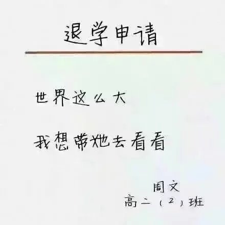 我的退学申请这么写