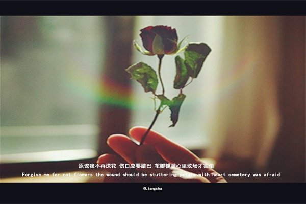 唯美图片，文字图片,情侣图片qqqqp