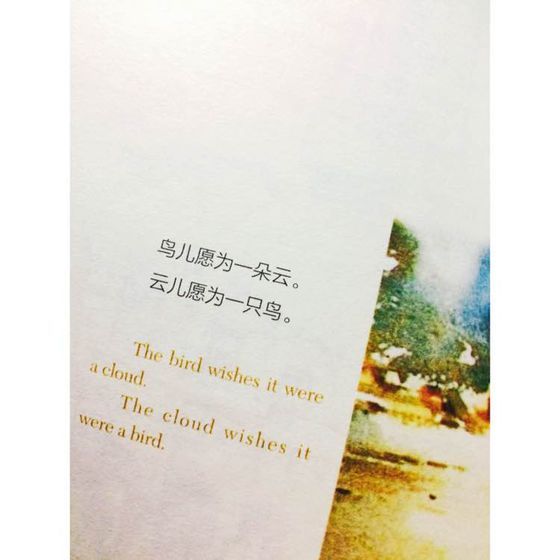 唯美图片，文字图片,情侣图片qqqqp