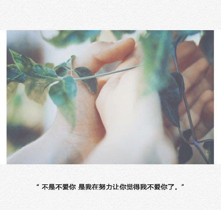 唯美图片，文字图片,情侣图片qqqqp