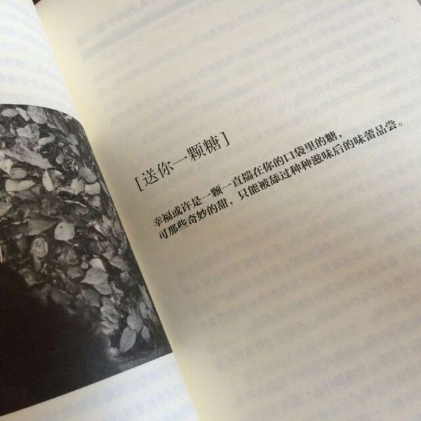 唯美图片，文字图片,情侣图片qqqqp