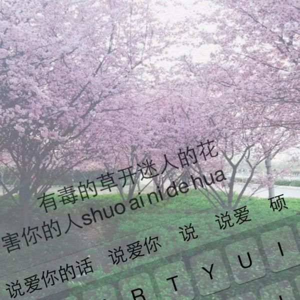 唯美图片，文字图片,情侣图片qqqqp
