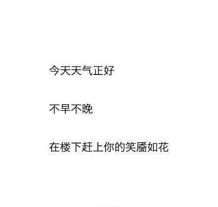 唯美图片，文字图片,情侣图片qqqqp