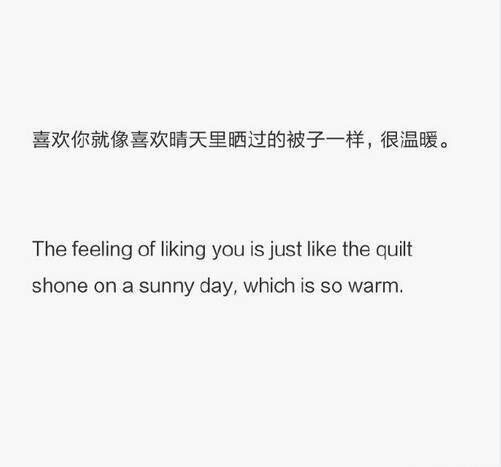 唯美图片，文字图片,情侣图片qqqqp