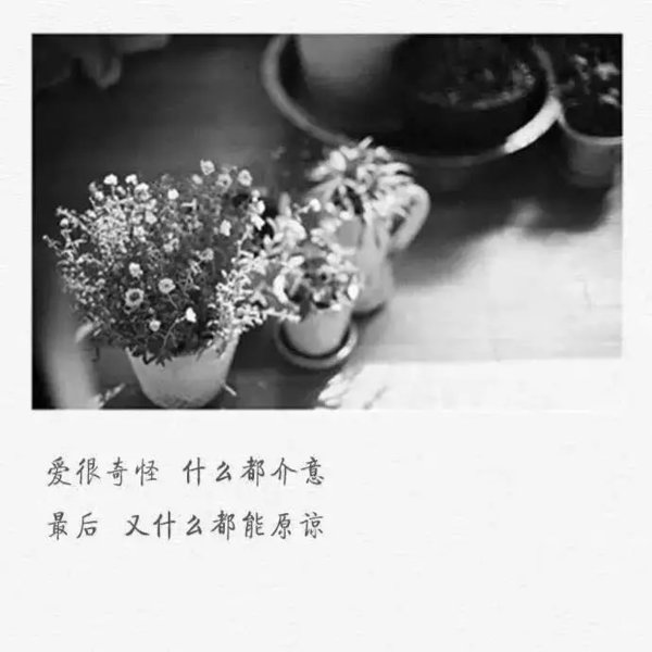 唯美图片，文字图片,情侣图片qqqqp