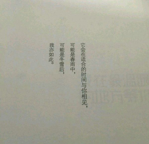 唯美图片，文字图片,情侣图片qqqqp