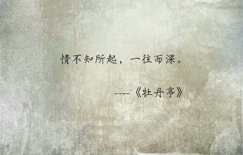 唯美图片，文字图片,情侣图片qqqqp