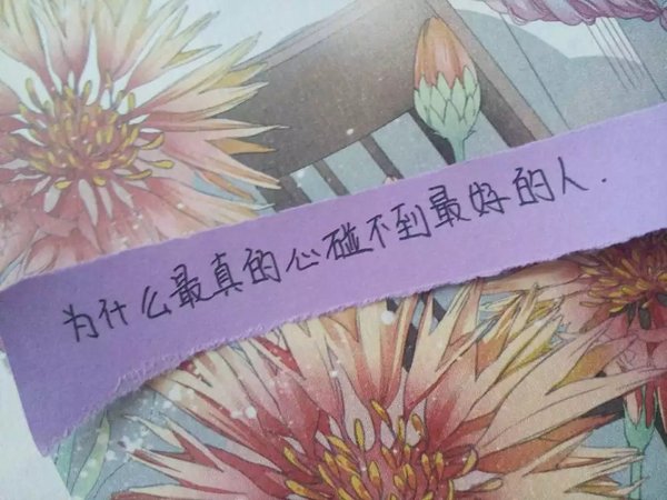 为什么最真心碰不到最好的人