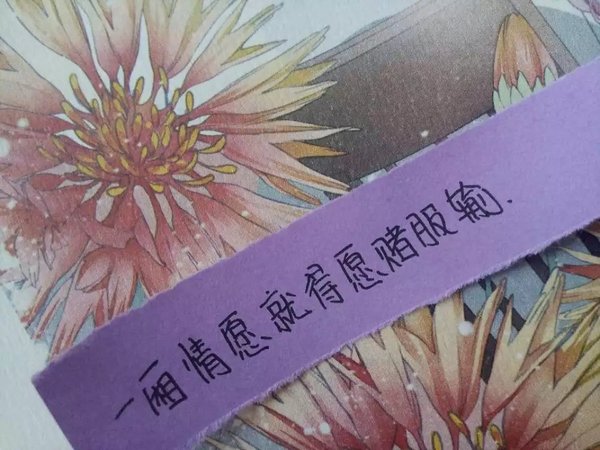 唯美图片，文字图片,情侣图片qqqqp