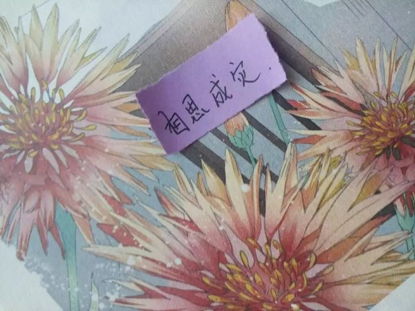 唯美图片，文字图片,情侣图片qqqqp