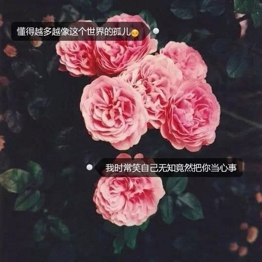 唯美图片，文字图片,情侣图片qqqqp