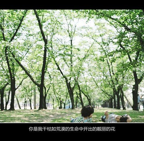 唯美图片，文字图片,情侣图片qqqqp