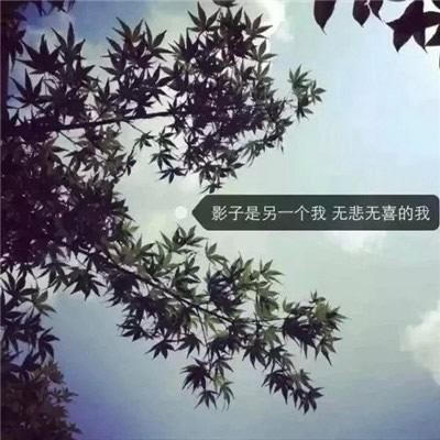 唯美图片，文字图片,情侣图片qqqqp