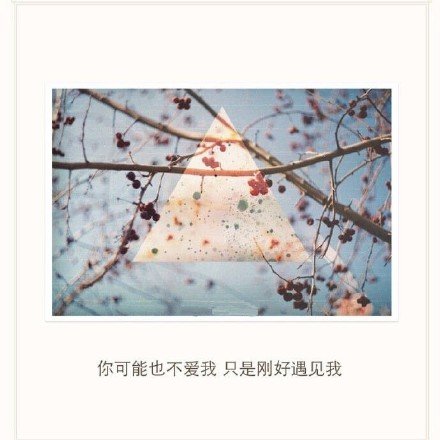 唯美图片，文字图片,情侣图片qqqqp