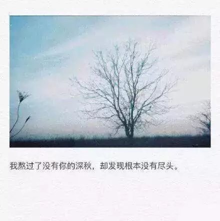 我熬过了没有你的深秋，却发现根本没有尽头