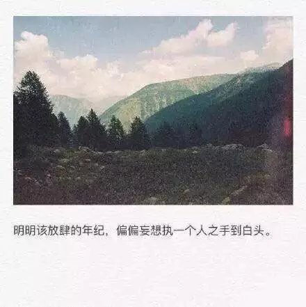 唯美图片，文字图片,情侣图片qqqqp