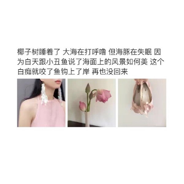 怂在喜欢你