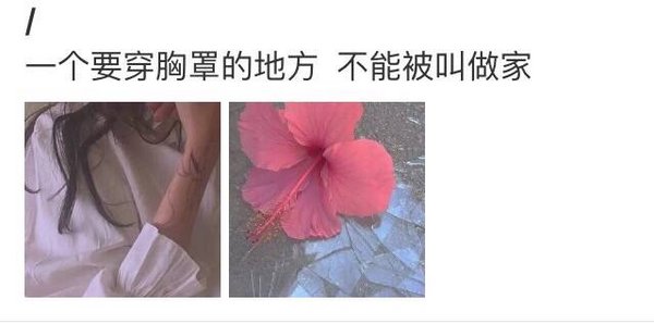 你插手不了我的人生，我劝你善良