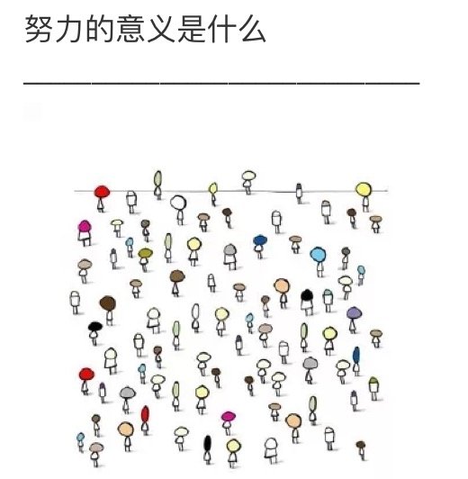 我们努力的意义又是什么？