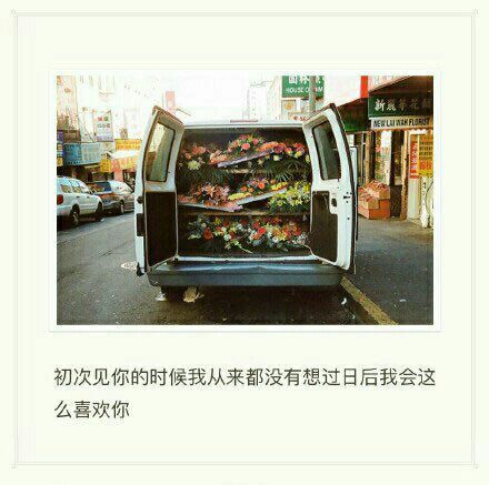 唯美图片，文字图片,情侣图片qqqqp