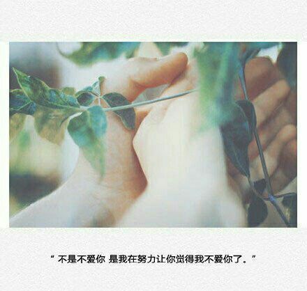 唯美图片，文字图片,情侣图片qqqqp
