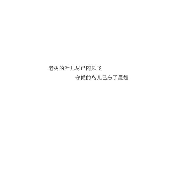 唯美图片，文字图片,情侣图片qqqqp