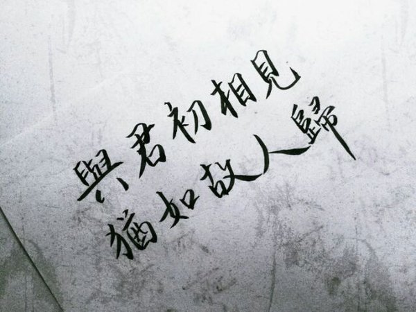 唯美图片，文字图片,情侣图片qqqqp