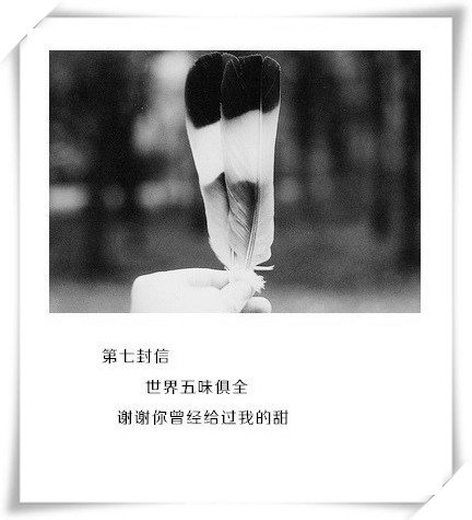 唯美图片，文字图片,情侣图片qqqqp