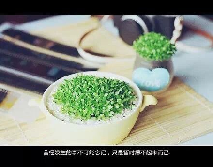 没人能决定你的幸福，除了你自己