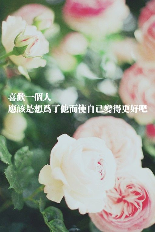 遇见是幸运，相爱是奇迹 唯美爱情文字图片