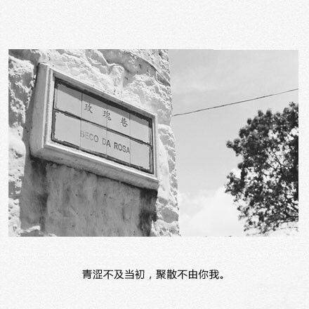 唯美图片，文字图片,情侣图片qqqqp