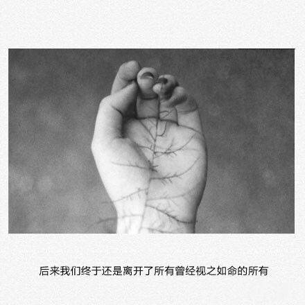 唯美图片，文字图片,情侣图片qqqqp