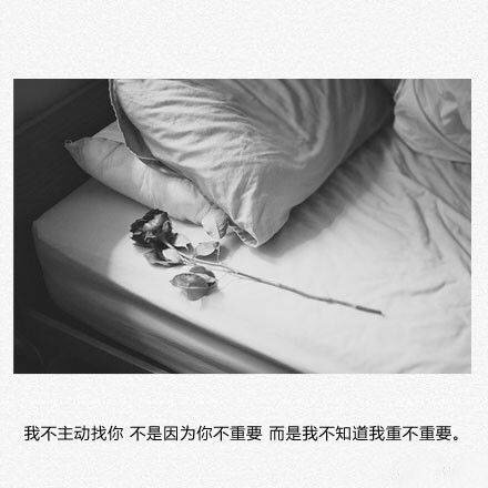 唯美图片，文字图片,情侣图片qqqqp
