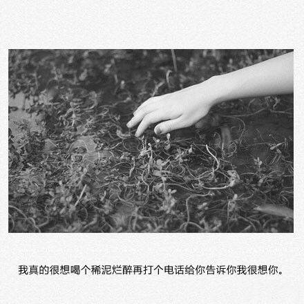 唯美图片，文字图片,情侣图片qqqqp