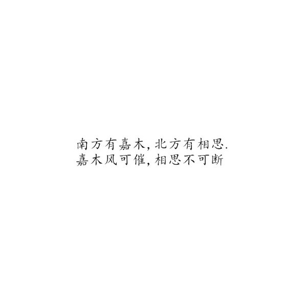 斑驳的时光，如同花瓣