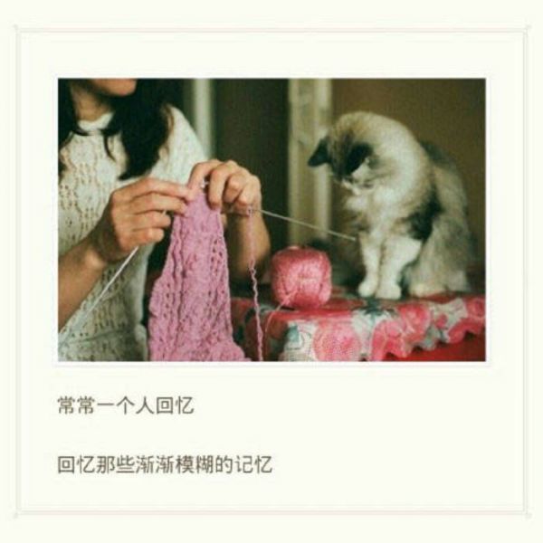 唯美图片，文字图片,情侣图片qqqqp