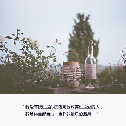 唯美图片，文字图片,情侣图片qqqqp