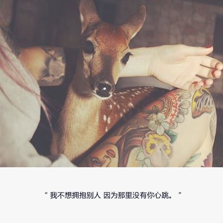 唯美图片，文字图片,情侣图片qqqqp