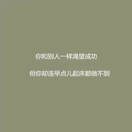 你可以不努力，最好别后悔