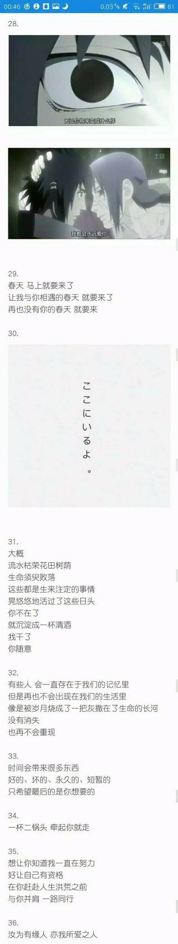 唯美图片，文字图片,情侣图片qqqqp