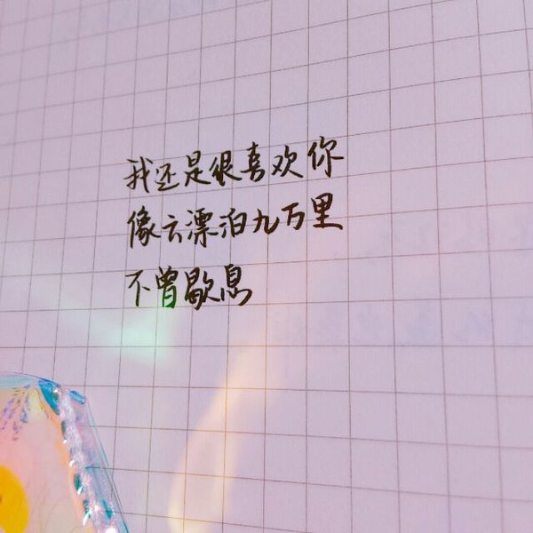 我还是不远万里的很喜欢你