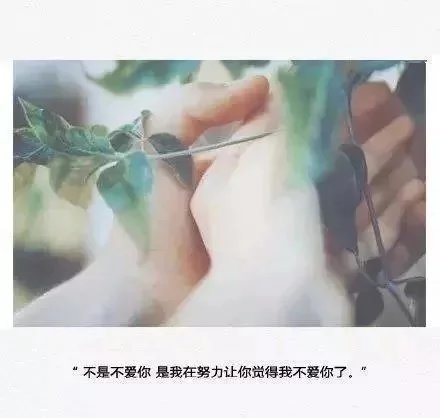 唯美图片，文字图片,情侣图片qqqqp