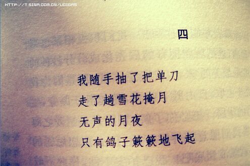 唯美图片，文字图片,情侣图片qqqqp