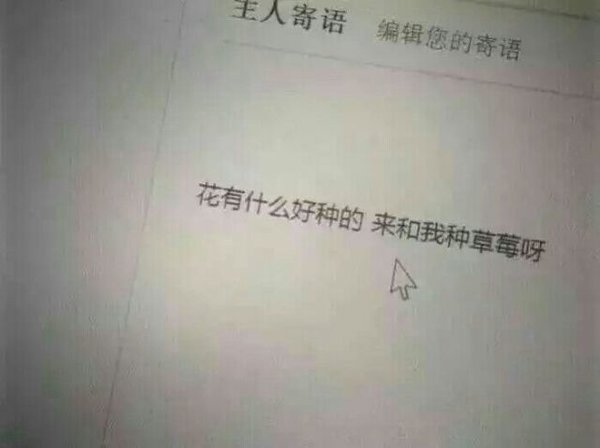 唯美图片，文字图片,情侣图片qqqqp