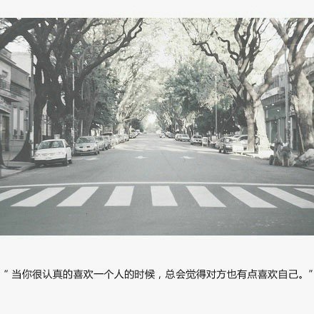 唯美图片，文字图片,情侣图片qqqqp