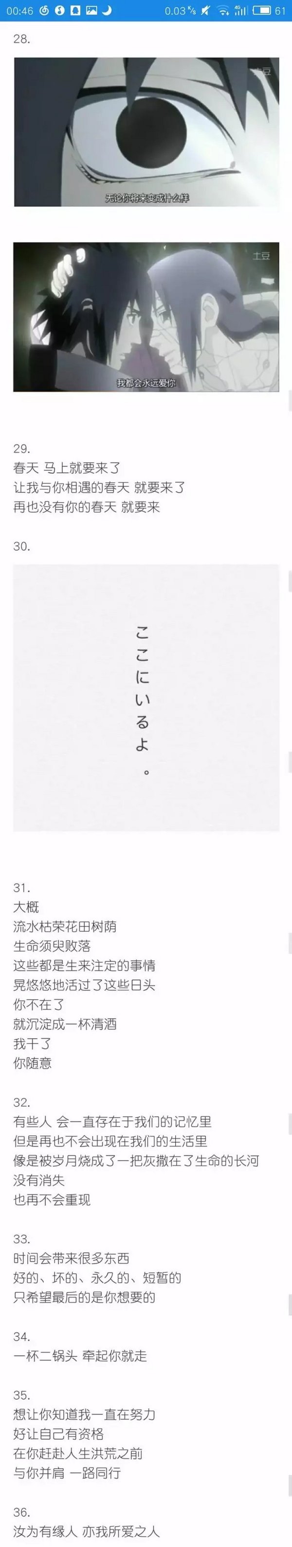 唯美图片，文字图片,情侣图片qqqqp