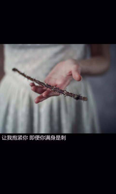 唯美图片，文字图片,情侣图片qqqqp